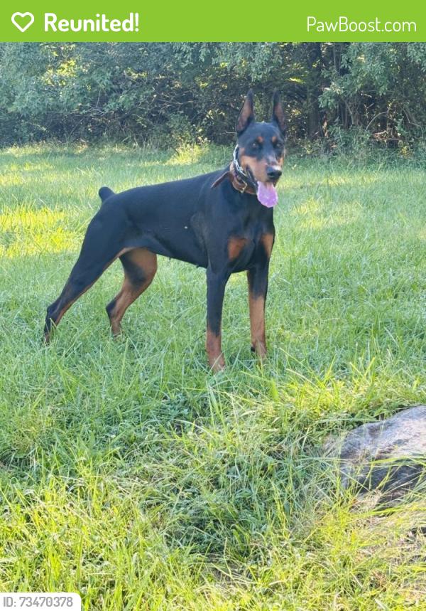 Reunited Female Dog last seen Near, Wilmington, DE 19803