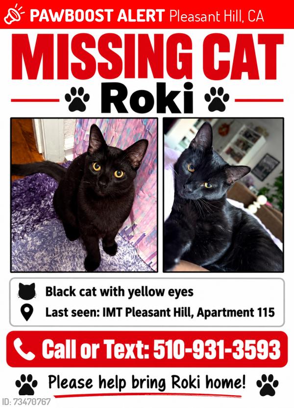 Lost Male Cat last seen IMT Pleasant Hill, Pleasant Hill, CA 94523