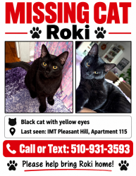 Lost Male Cat last seen IMT Pleasant Hill, Pleasant Hill, CA 94523