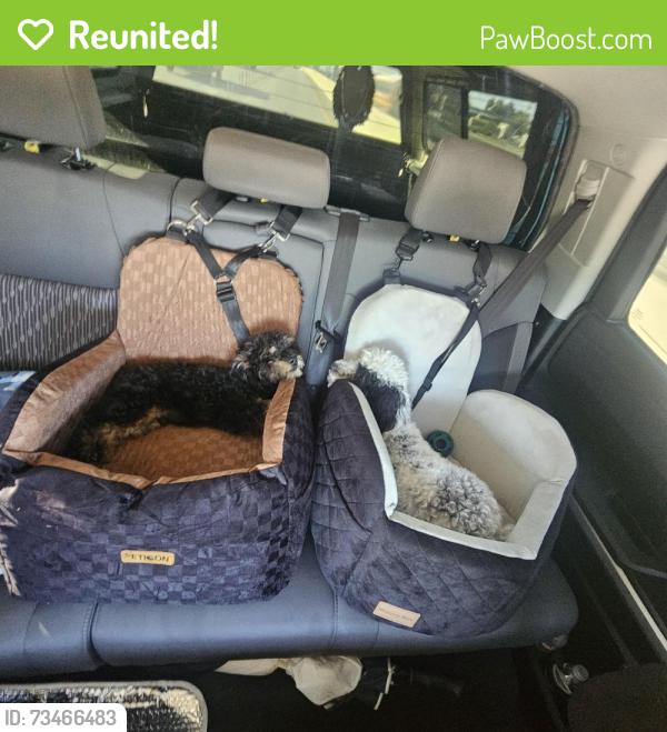 Reunited Male Dog last seen Carnivorous Plants & Rare Plant Nursery, Austin, TX 78736