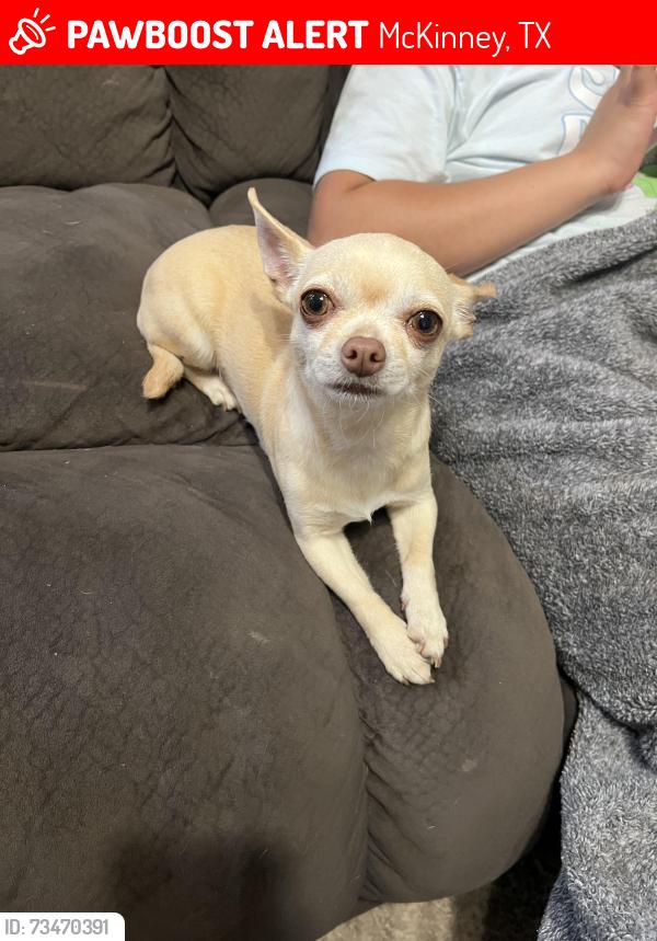 Lost Female Dog last seen Near, McKinney, TX 75071