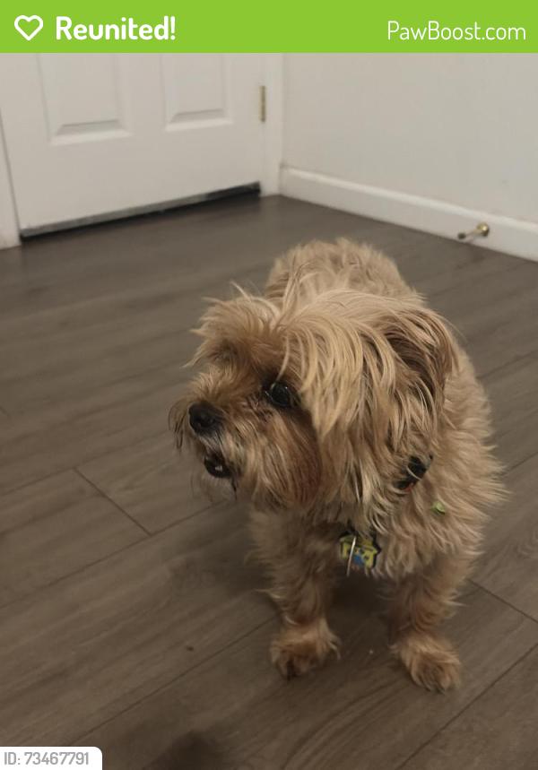 Reunited Unknown Dog last seen Sidewalk 7957 Ney Ave, Oakland, CA 94605