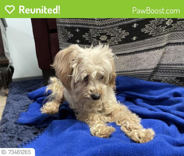 Reunited Female Dog last seen In Selma Olinder Park, San Jose, CA 95116