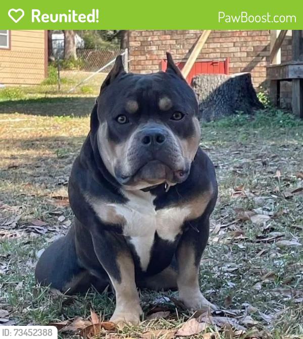 Reunited Male Dog last seen Payette, Keystone Heights, FL 32656