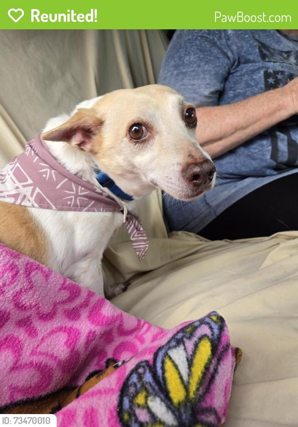 Reunited Male Dog last seen Covey Ln, Winston-Salem, NC 27107