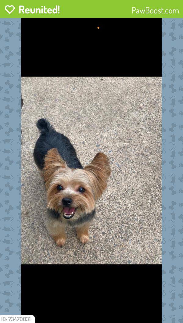 Reunited Male Dog last seen aspen terr, Teaneck, NJ 07666