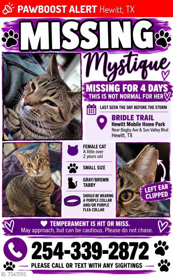 Lost Female Cat last seen Sun Valley and Bagby, Hewitt, TX 76643