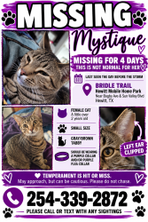 Lost Female Cat last seen Sun Valley and Bagby, Hewitt, TX 76643