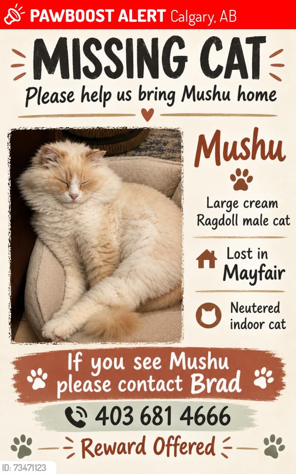 Lost Male Cat last seen Glenmore resevoir, Calgary, AB 