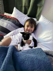 Lost Male Cat last seen Thermal and elder, San Diego, CA 92154