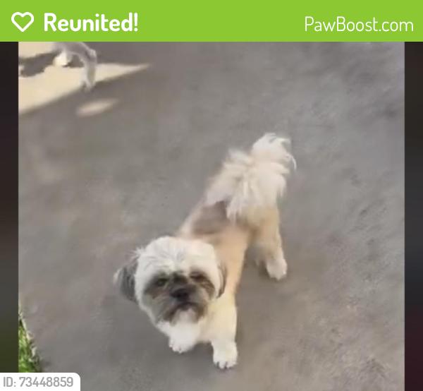 Reunited Male Dog last seen 20th and a ave, National City, CA 91950
