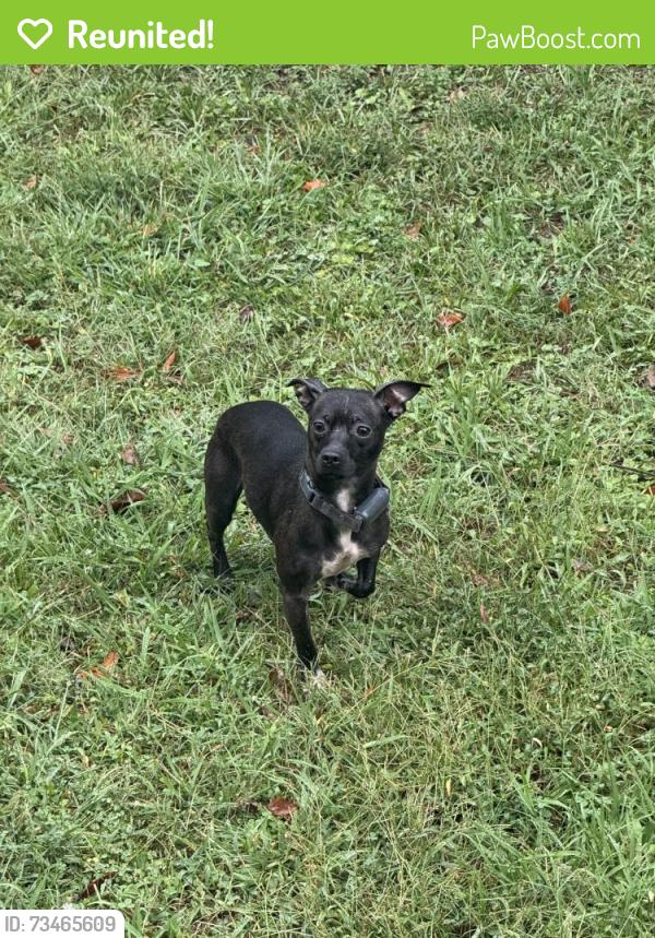 Reunited Unknown Dog last seen N Central Ave Hapeville, GA, Hapeville, GA 30354