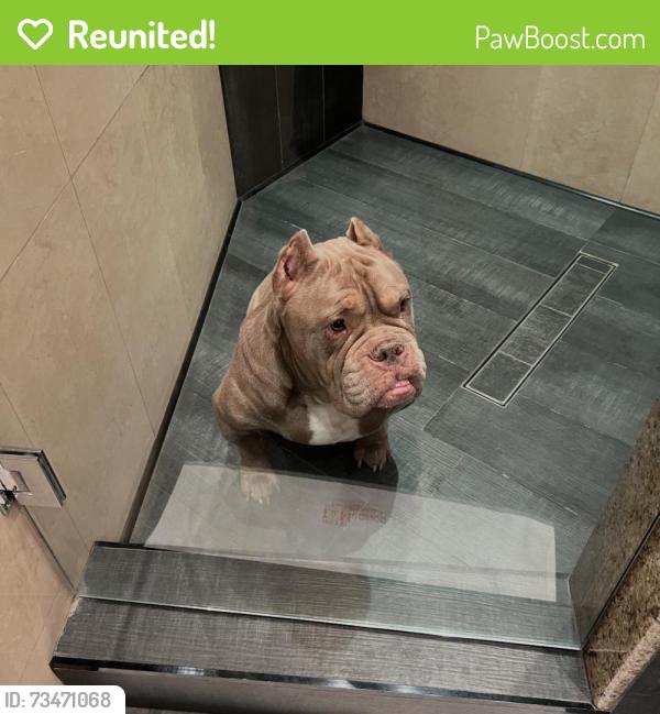 Reunited Male Dog last seen Near S 33rd St, San Diego, CA 92113, USA, San Diego, CA 92113