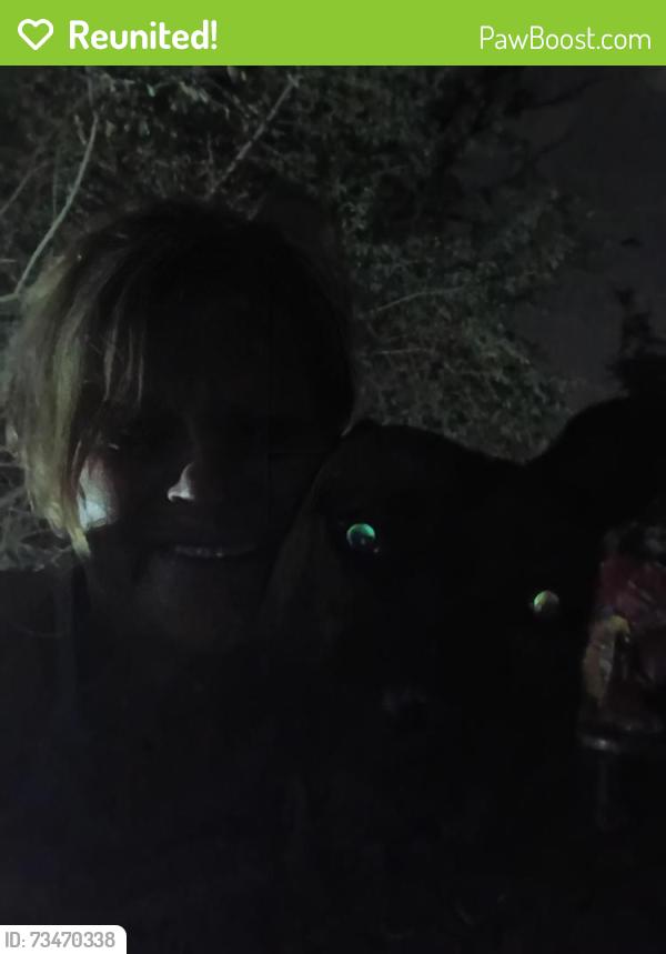 Reunited Male Dog last seen Donally and Bourine, Fort Worth, TX 76107