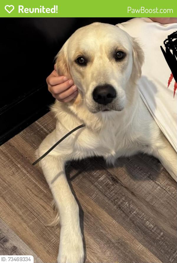 Reunited Female Dog last seen Near Thonotosassa rd and McIntosh, Thonotosassa, FL 33592