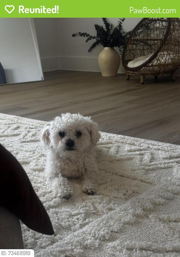 Reunited Male Dog last seen Mansions of Denton, Denton, TX 76207