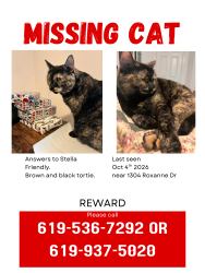 Reunited Female Cat last seen The Pumpkin Patch near Vulcant St, El Cajon, CA 92021