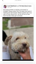 Reunited Male Dog last seen Broad and St. Bernard, New Orleans, LA 70119