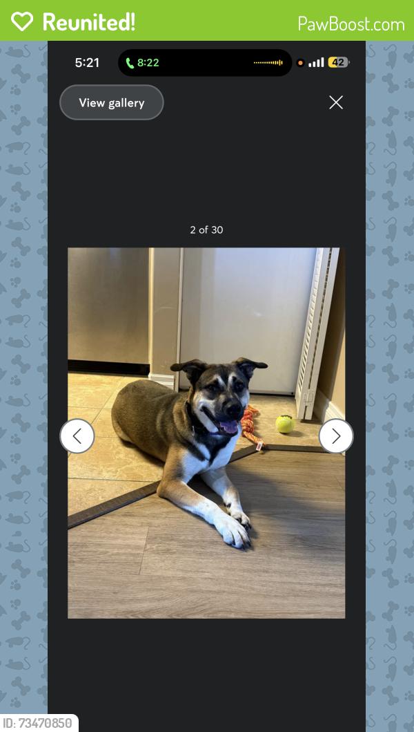 Reunited Male Dog last seen Logan ave , 28th by the Starbucks, San Diego, CA 92113