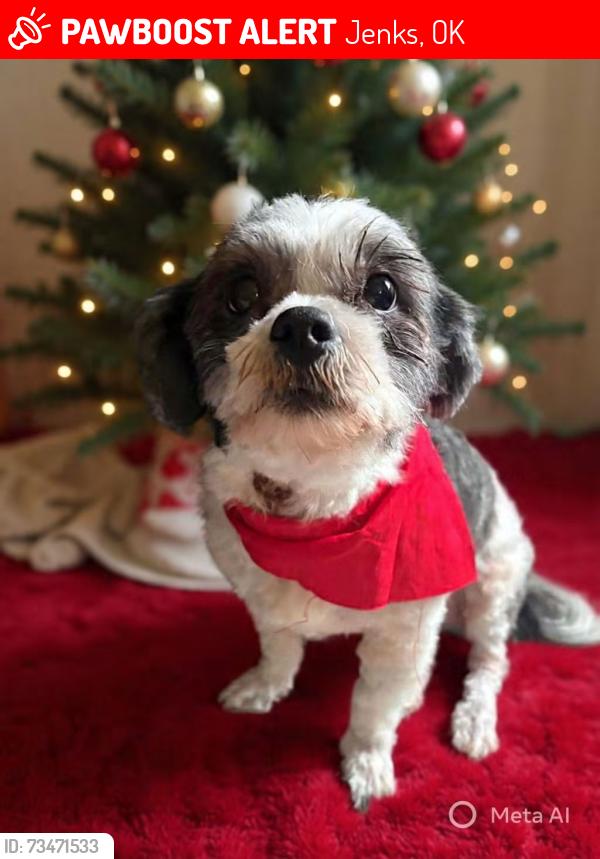 Lost Male Dog last seen Near s franklin, Jenks, OK 74037