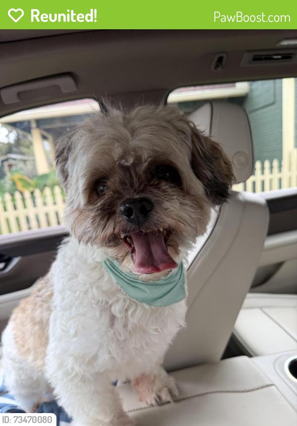 Reunited Unknown Dog last seen 27th and Yale, Houston, TX 77008
