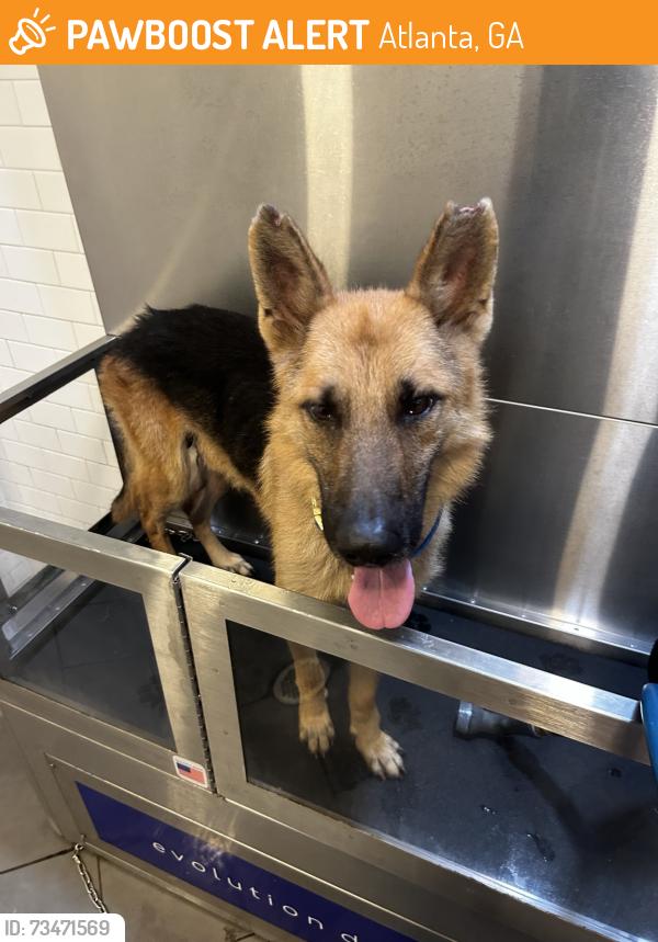 Found/Stray Male Dog last seen by simmons/donald lee, Atlanta, GA 30318