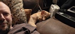 Reunited Female Dog last seen Menards/US bank, Fridley, MN 55421