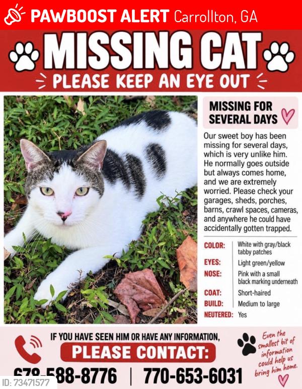 Lost Male Cat last seen Sandhill hickory level rd, Carrollton, GA 30116
