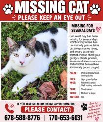 Lost Male Cat last seen Sandhill hickory level rd, Carrollton, GA 30116
