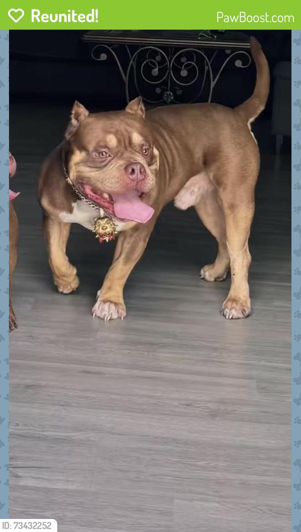 Reunited Male Dog last seen Highway 64 W., Shelbyville, TN 37160