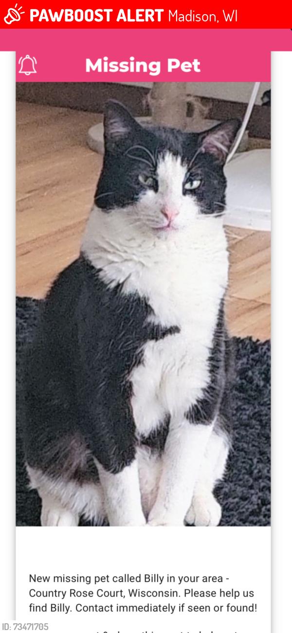 Lost Male Cat last seen Deer Valley Rd & Fish Hatchery Rd, Madison, WI 53713