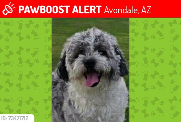 Lost Male Dog last seen S El Mirage rd and W Lower Buckeye Rd, Avondale, AZ 85323