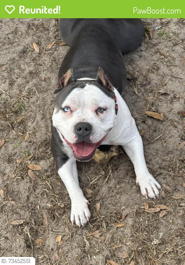 Reunited Female Dog last seen Payette, Keystone Heights, FL 32656