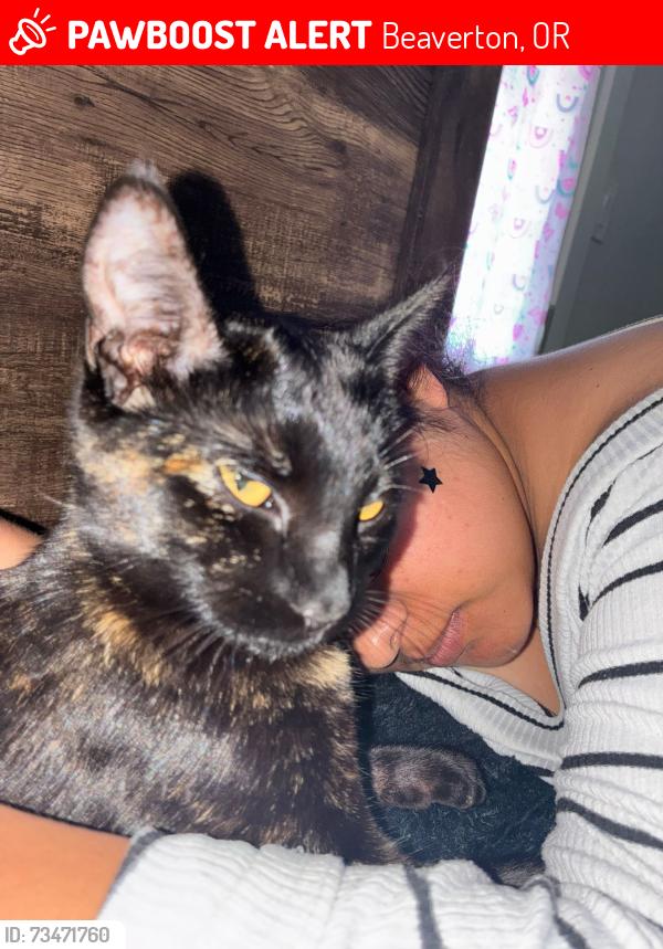 Lost Female Cat last seen Near sw 187 Ave., Beaverton, OR 97003