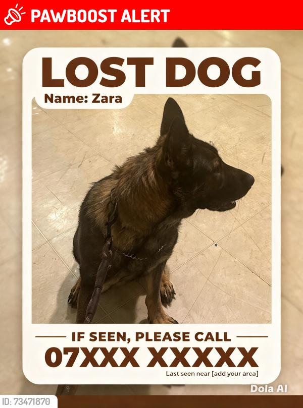 Lost Female Dog last seen Wensleydale, West Midlands, England B42 1PN