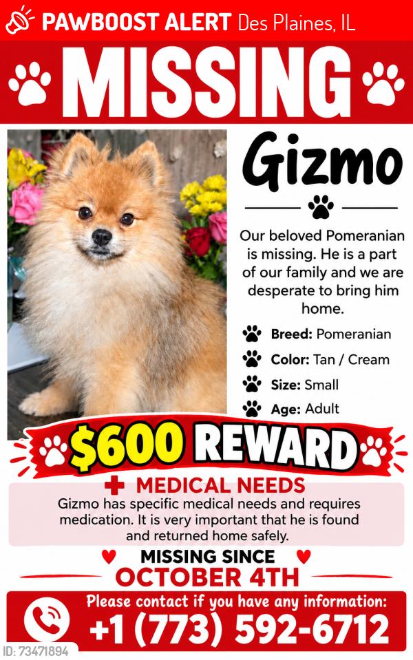 Lost Male Dog last seen Elmhurst rd and touhy ave, Des Plaines, IL 60018