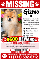 Lost Male Dog last seen Elmhurst rd and touhy ave, Des Plaines, IL 60018