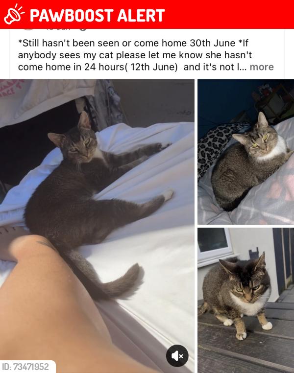 Lost Female Cat last seen McDonald's, West Midlands, England 