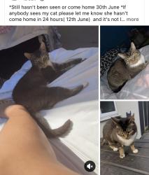 Lost Female Cat last seen McDonald's, West Midlands, England 
