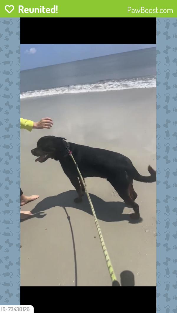 Reunited Male Dog last seen Parental home rd and dean, Jacksonville, FL 32216