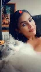 Lost Male Cat last seen ALL of Melbourne, Fawkner, VIC 3060