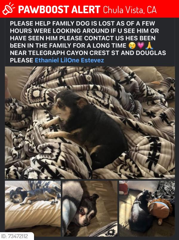 Lost Male Dog last seen Crest Dr Douglas St & Telegraph Canyon Rd, Chula Vista, CA 91910