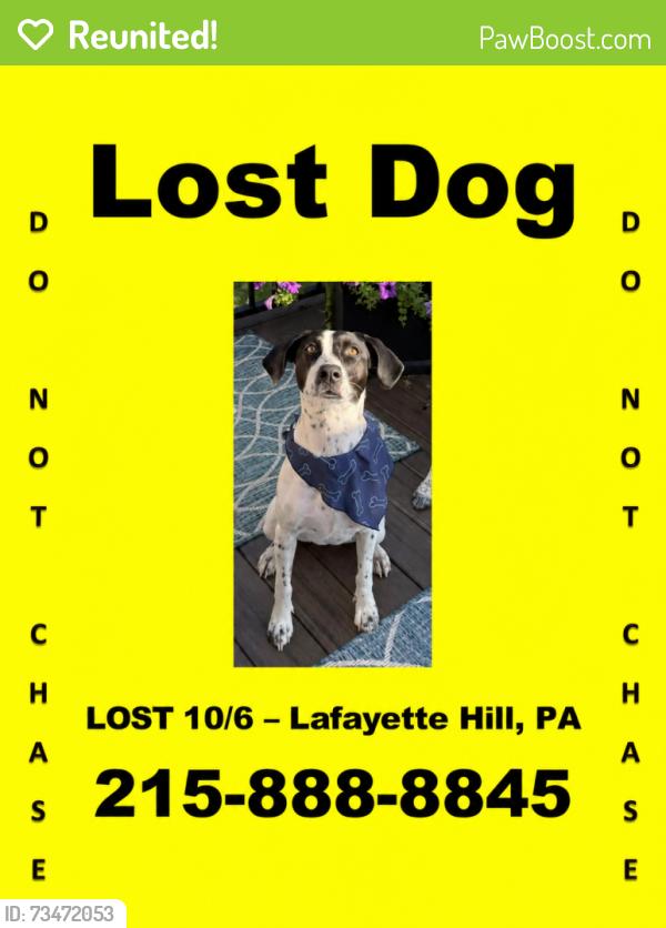 Reunited Female Dog last seen Golf View Dr & Manor Rd., Lafayette Hill, PA 19444