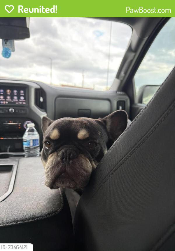 Reunited Male Dog last seen Ventana Lakes Katy, Katy, TX 77493