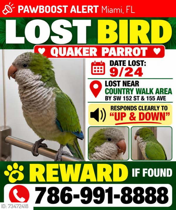 Lost Female Bird last seen Near St SW 155 Avenue, Miami, FL 33187