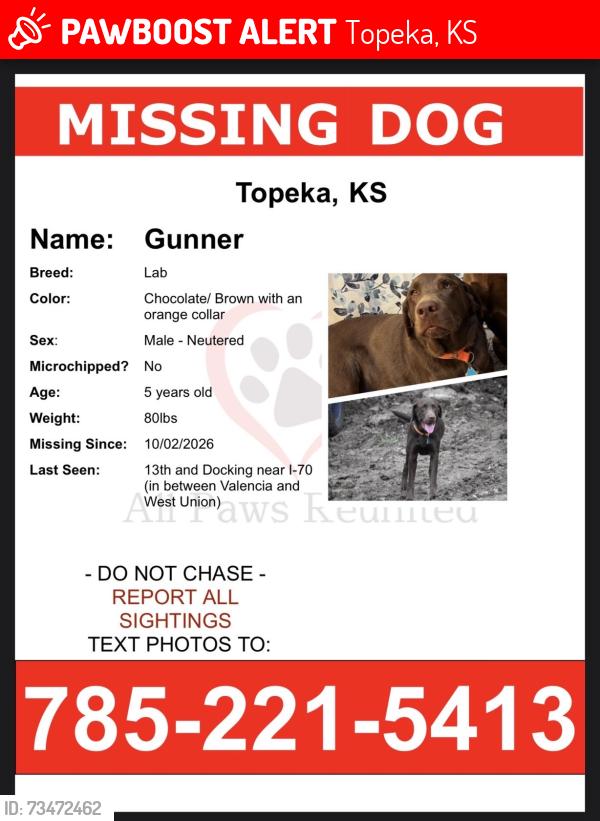 Lost Male Dog last seen 13th and Docking, Topeka, KS 66615