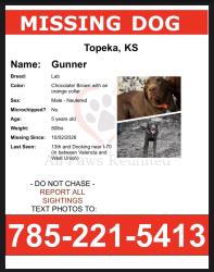 Lost Male Dog last seen 13th and Docking, Topeka, KS 66615