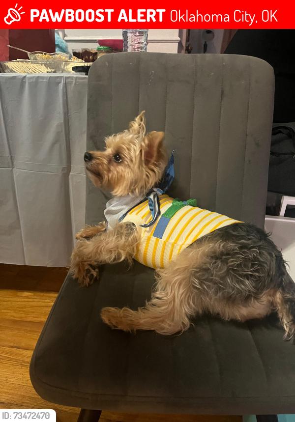 Lost Male Dog last seen Por la librería belle isle, Oklahoma City, OK 73112