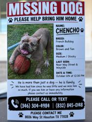 Reunited Male Dog last seen Way st Houston Tx 77028, Houston, TX 77028