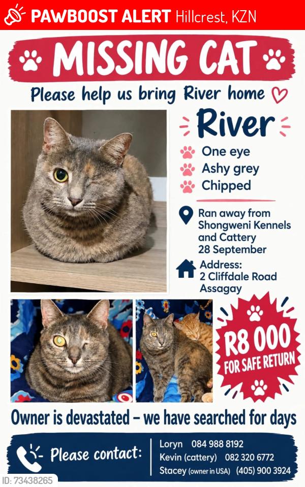 Lost Female Cat last seen Shongweni Kennels & Cattery, Hillcrest, KZN 3624